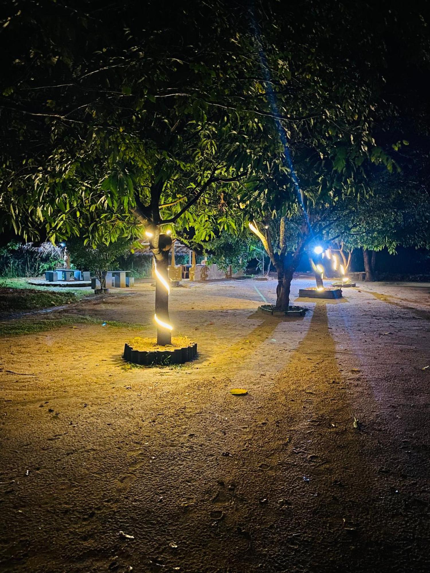 Sigiriya Kingdom Resort 담불라 외부 사진